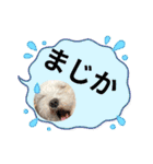 なおちゃんの毎日（個別スタンプ：18）