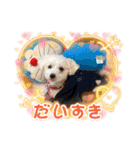なおちゃんの毎日（個別スタンプ：19）