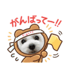 なおちゃんの毎日（個別スタンプ：20）