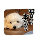 なおちゃんの毎日（個別スタンプ：21）