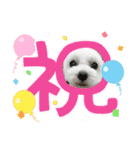 なおちゃんの毎日（個別スタンプ：23）