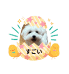 なおちゃんの毎日（個別スタンプ：24）