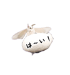 カイコちゃんかわいいスタンプ①（個別スタンプ：6）