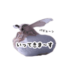 カイコちゃんかわいいスタンプ①（個別スタンプ：12）