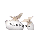 カイコちゃんかわいいスタンプ①（個別スタンプ：16）