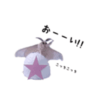 カイコちゃんかわいいスタンプ①（個別スタンプ：17）