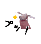 カイコちゃんかわいいスタンプ①（個別スタンプ：21）