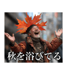 もみじオジサンが秋を知らせる（個別スタンプ：6）