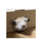 フガっとふがちゃん（個別スタンプ：2）