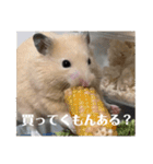 フガっとふがちゃん（個別スタンプ：5）