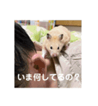 フガっとふがちゃん（個別スタンプ：7）