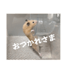 フガっとふがちゃん（個別スタンプ：8）