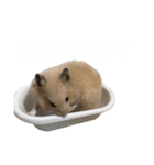 フガっとふがちゃん（個別スタンプ：9）