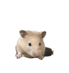 フガっとふがちゃん（個別スタンプ：13）