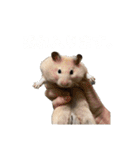 フガっとふがちゃん（個別スタンプ：15）