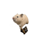 フガっとふがちゃん（個別スタンプ：16）