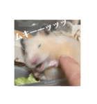 フガっとふがちゃん（個別スタンプ：18）