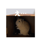 フガっとふがちゃん（個別スタンプ：19）