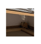 フガっとふがちゃん（個別スタンプ：20）