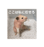 フガっとふがちゃん（個別スタンプ：21）