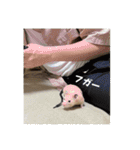 フガっとふがちゃん（個別スタンプ：22）
