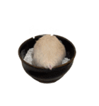 フガっとふがちゃん（個別スタンプ：25）