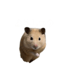 フガっとふがちゃん（個別スタンプ：26）