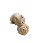 フガっとふがちゃん（個別スタンプ：27）