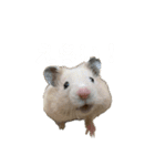 フガっとふがちゃん（個別スタンプ：28）