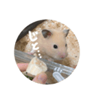 フガっとふがちゃん（個別スタンプ：32）