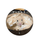 フガっとふがちゃん（個別スタンプ：33）