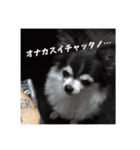 フガっとふがちゃん（個別スタンプ：38）