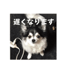 フガっとふがちゃん（個別スタンプ：39）