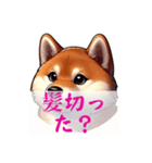 芝犬旦那（個別スタンプ：23）