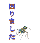 仕事用で使う言葉をハンミョウからーBIG（個別スタンプ：11）