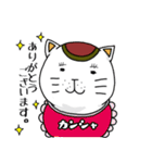 まねきたいねこ（個別スタンプ：13）