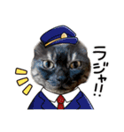 保護猫 アビー➕（個別スタンプ：14）