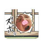 れいくん誕生スタンプ（個別スタンプ：29）