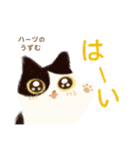 ハーツ保護猫シェルター・毎日使える似顔絵（個別スタンプ：1）