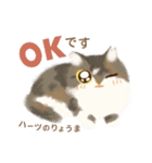 ハーツ保護猫シェルター・毎日使える似顔絵（個別スタンプ：3）