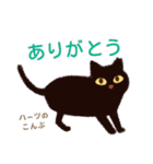 ハーツ保護猫シェルター・毎日使える似顔絵（個別スタンプ：5）
