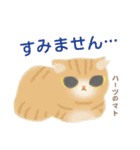 ハーツ保護猫シェルター・毎日使える似顔絵（個別スタンプ：7）