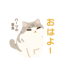 ハーツ保護猫シェルター・毎日使える似顔絵（個別スタンプ：10）