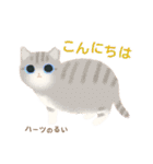 ハーツ保護猫シェルター・毎日使える似顔絵（個別スタンプ：11）