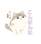 ハーツ保護猫シェルター・毎日使える似顔絵（個別スタンプ：12）
