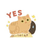 ハーツ保護猫シェルター・毎日使える似顔絵（個別スタンプ：13）