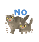 ハーツ保護猫シェルター・毎日使える似顔絵（個別スタンプ：14）