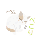 ハーツ保護猫シェルター・毎日使える似顔絵（個別スタンプ：16）