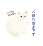 ハーツ保護猫シェルター・毎日使える似顔絵（個別スタンプ：17）