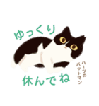 ハーツ保護猫シェルター・毎日使える似顔絵（個別スタンプ：19）